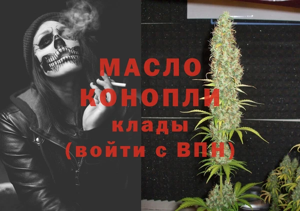 индика Михайловка