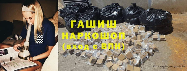 прущие грибы Братск