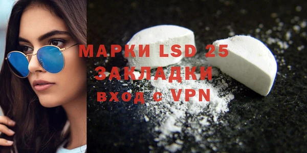 индика Михайловка