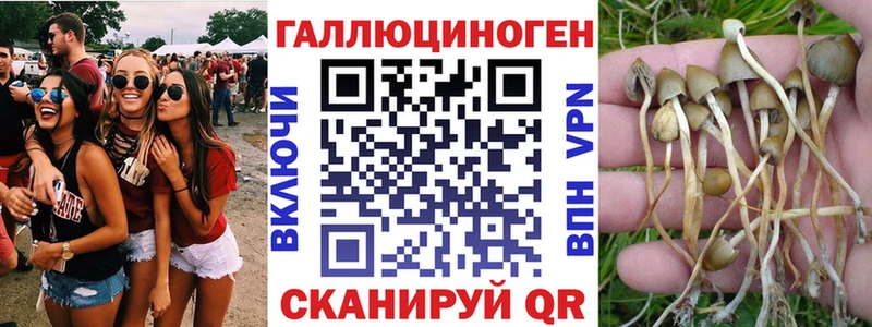 Псилоцибиновые грибы Magic Shrooms  Волгоград 